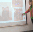 1 - Газета Кировградские вести